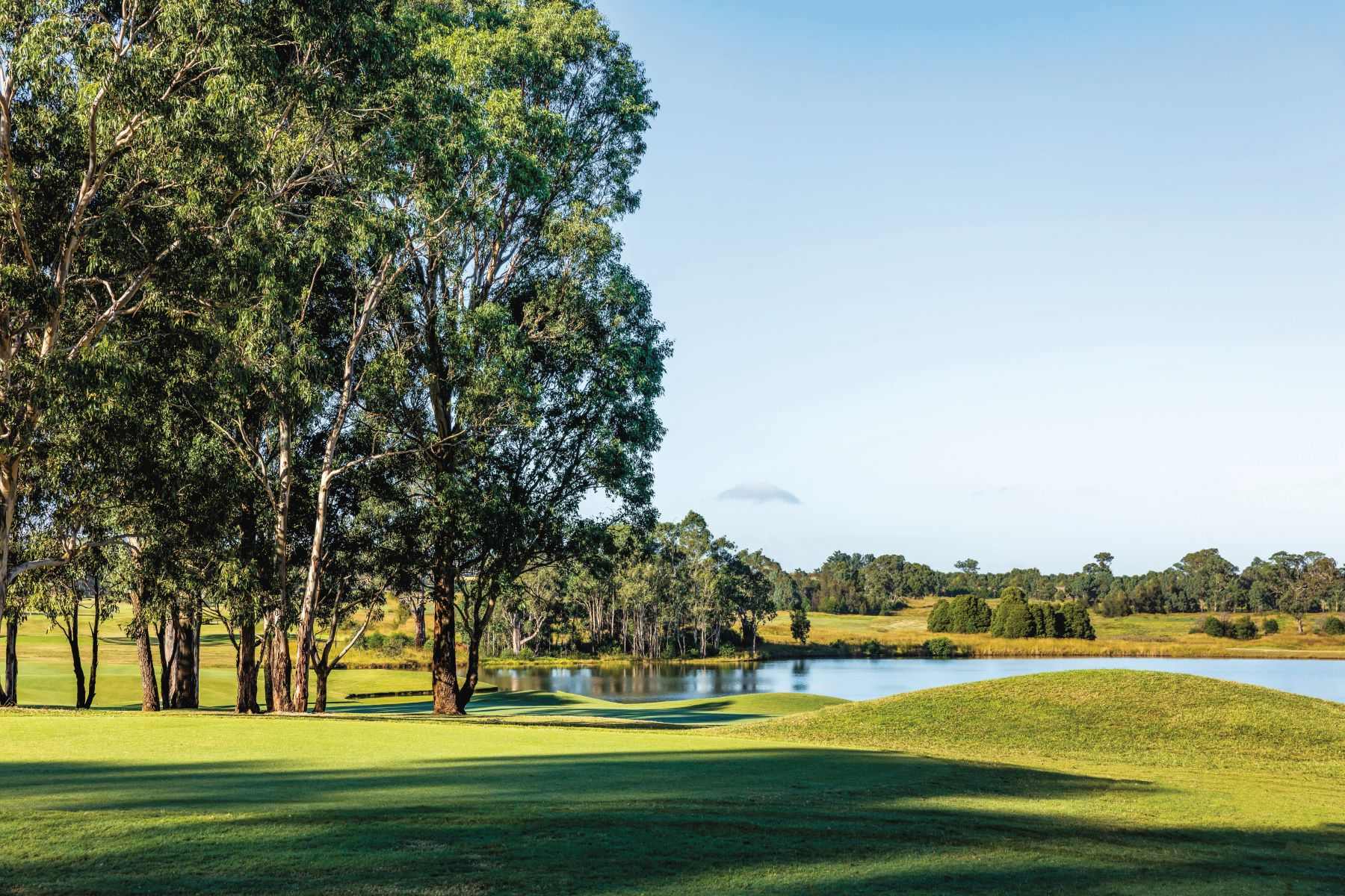 Land for Sale in Newest Estates in NSW